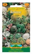 Kaktusy - směs